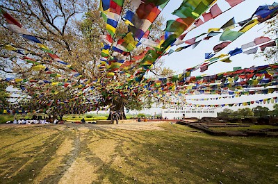 Image Lumbini