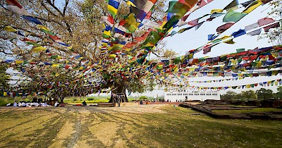 Lumbini